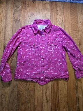 Panhandle Slim Girls Pink Western Snap Shirt Desert Print Long Sleeve Size Small